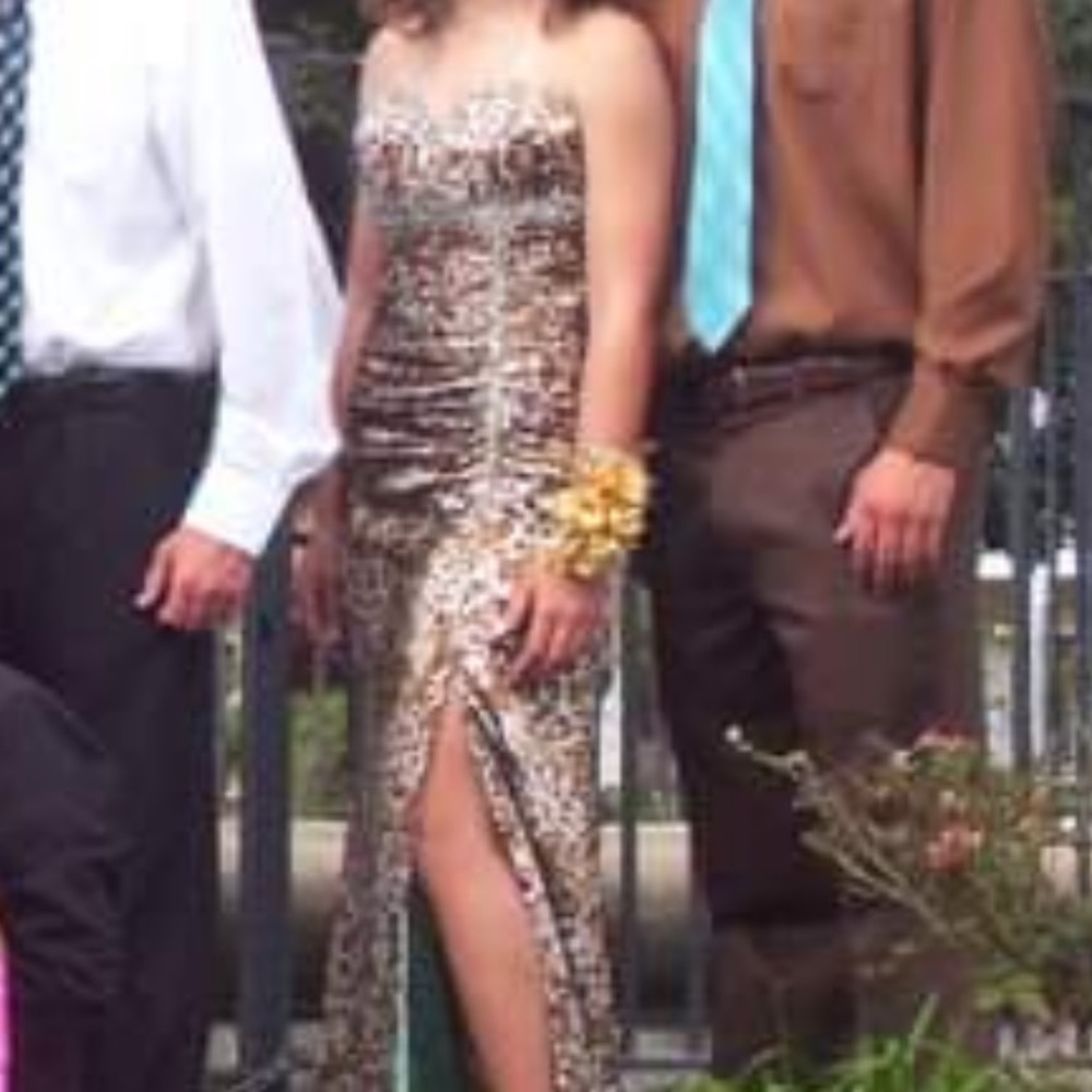Beautiful cheetah and light blue beaded dress.